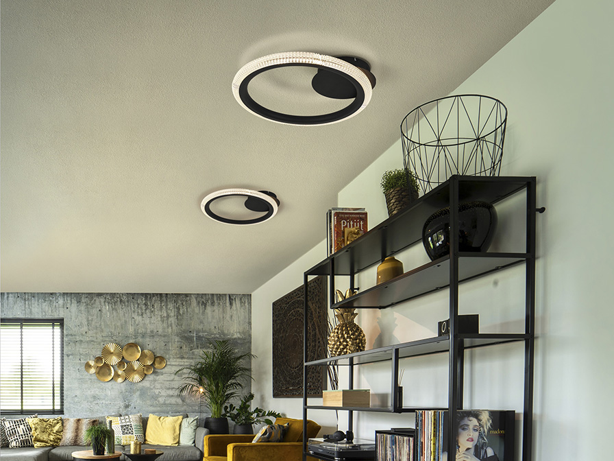 Schuller Ligthing Flush Ceiling Lamps Ring 717847  ·RING· CEILING LAMP 1 RING, BLACK