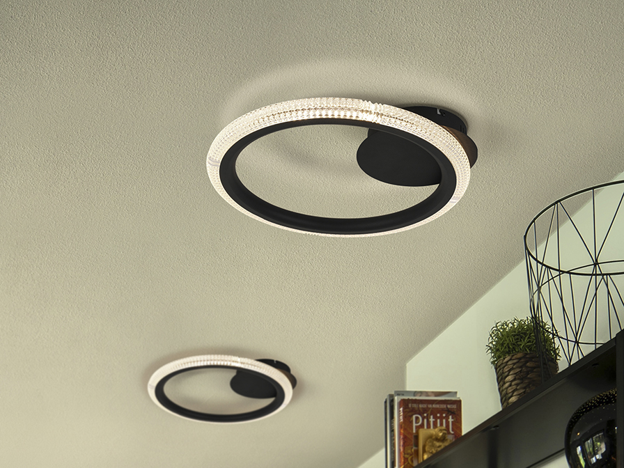 Schuller Ligthing Flush Ceiling Lamps Ring 717847  ·RING· CEILING LAMP 1 RING, BLACK