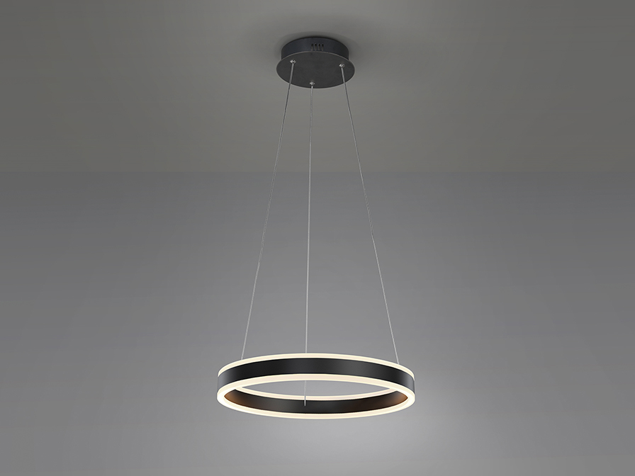 Schuller Lighting Pendants Helia 831956  ·HELIA· LED LAMP Ø50, MATT BLACK