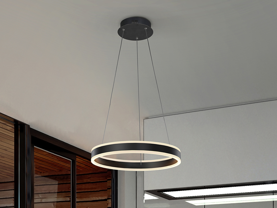 Schuller Lighting Pendants Helia 831956  ·HELIA· LED LAMP Ø50, MATT BLACK